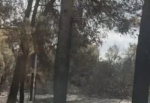 Rogo all’isola ecologica di Lequile: la stretta del sindaco Carlà blocca la vendita dei prodotti agricoli