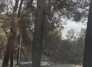 Rogo all’isola ecologica di Lequile: la stretta del sindaco Carlà blocca la vendita dei prodotti agricoli