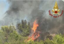INCENDIO DI VEGETAZIONE IN ZONA FONDONE: INTERVENTO DEI VIGILI DEL FUOCO
