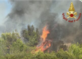 INCENDIO DI VEGETAZIONE IN ZONA FONDONE: INTERVENTO DEI VIGILI DEL FUOCO