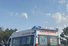 Tragedia all’alba a Castromediano: auto contro camion dei rifiuti, morti un 41enne e il suo cane